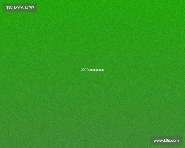 2019轮滑全国比赛冠军男子